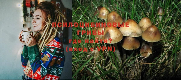 PSILOCYBIN Козловка