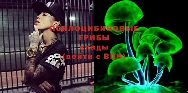 PSILOCYBIN Козловка