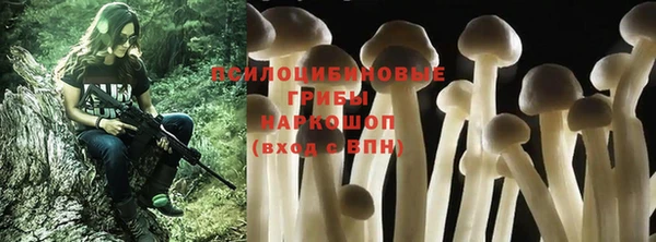 не бодяженный Кодинск