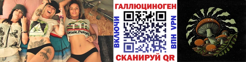 Псилоцибиновые грибы Psilocybe  Томилино 